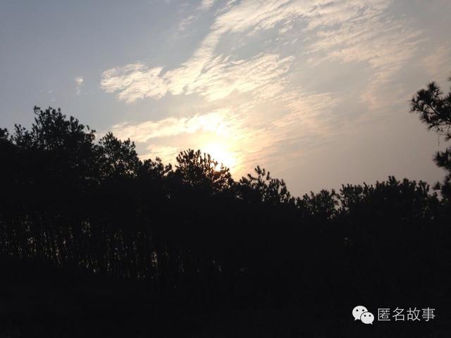 乔布斯死亡时间:iPhone的寿命有几年