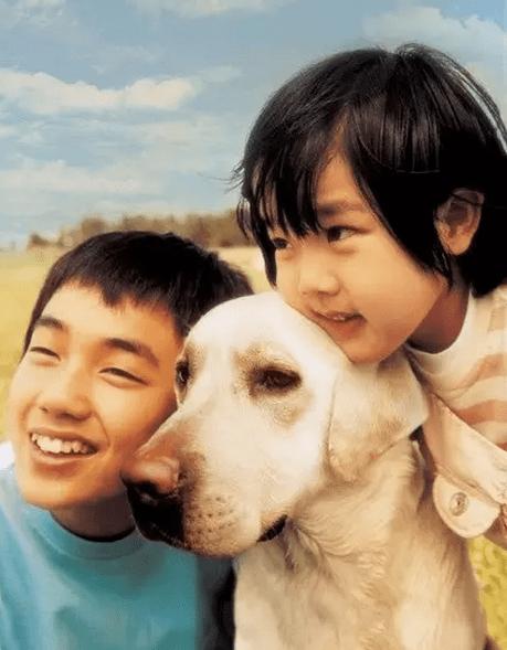 忠犬八公影评:除了忠犬八公，还有哪些好看的宠物电影可以推荐？ 忠犬八公影评1000字