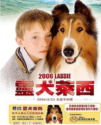忠犬八公影评:除了忠犬八公，还有哪些好看的宠物电影可以推荐？ 忠犬八公影评1000字
