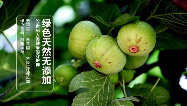新鲜无花果怎么吃,无花果可以怎么吃？有什么营养？