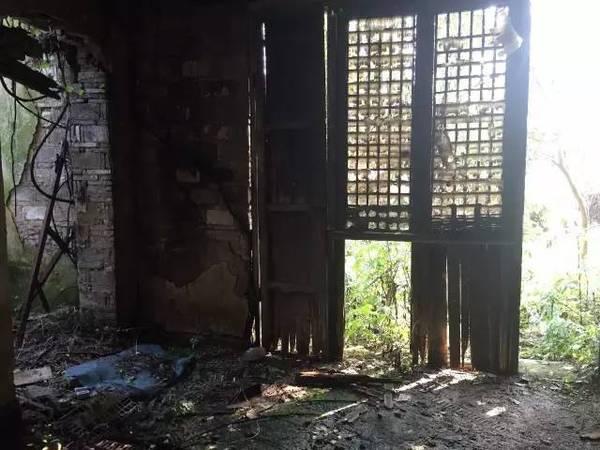 番茄台是什么台:湖南卫视为什么叫芒果台，起了一个水果的名字？