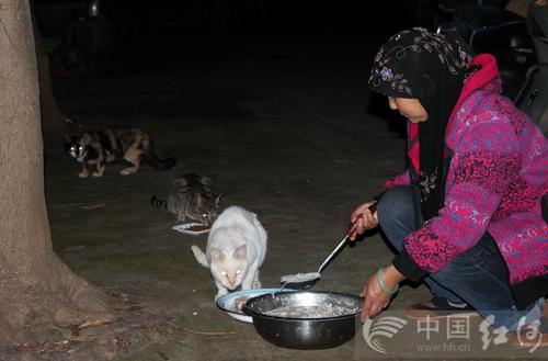 人民币 猫:养的猫不能喂人吃的饭菜只能喂猫粮吗？