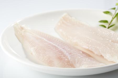 贝类脂肪含量高不高，鱿鱼含有脂肪吗蛋白质含量高吗