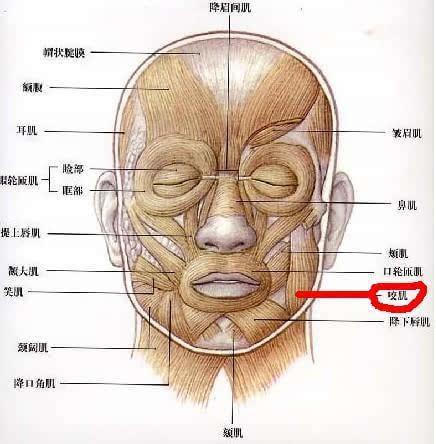 刘涛打瘦脸针面部凹陷，瘦脸针安全吗注射瘦脸针后要注意什么