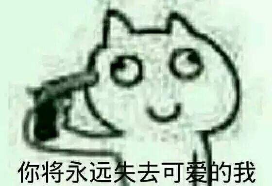 当猫爱上狗:为什么一些人养宠物更喜欢狗，而不喜欢小巧的猫？