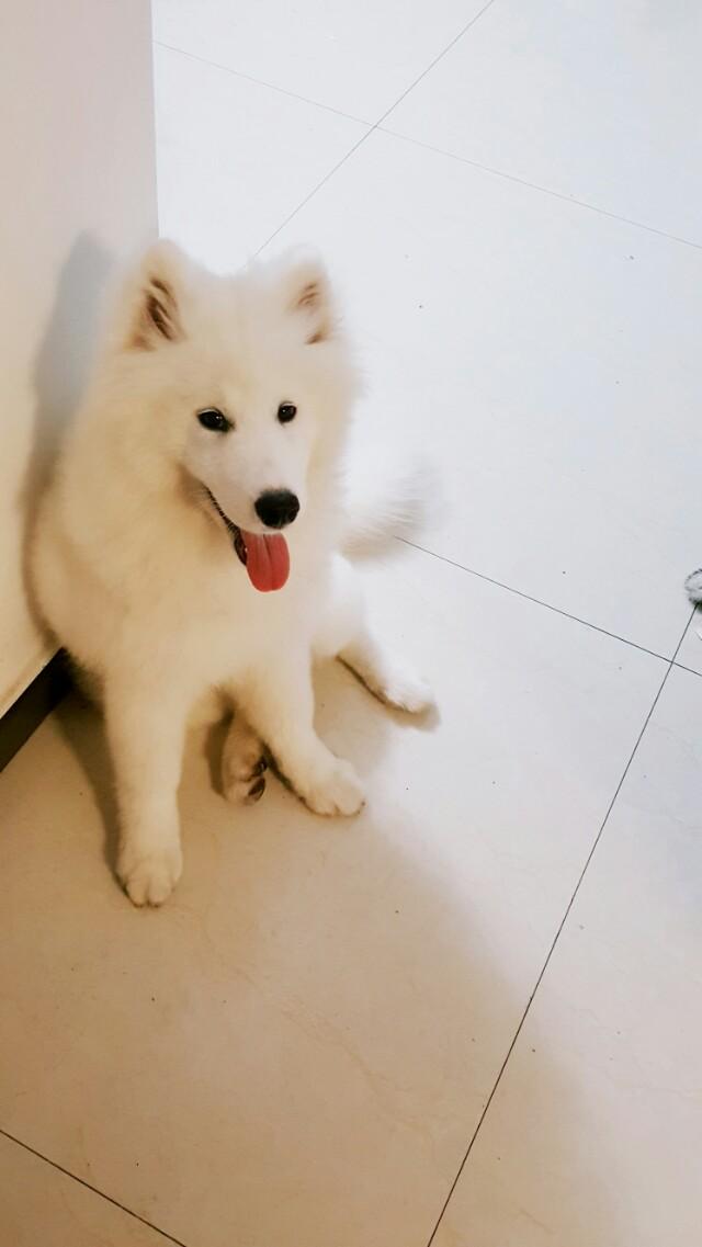 你童年有什么细思极恐的事情？