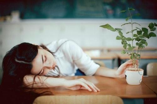 一只狗的大学生活精彩完整视频:饲养狗狗给我们带来什么好处？