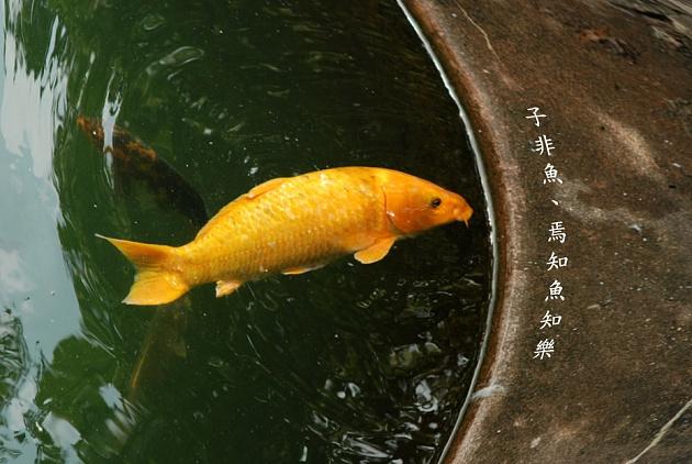 历史上有哪些的佳句名篇是因双方起争执时而造就的？