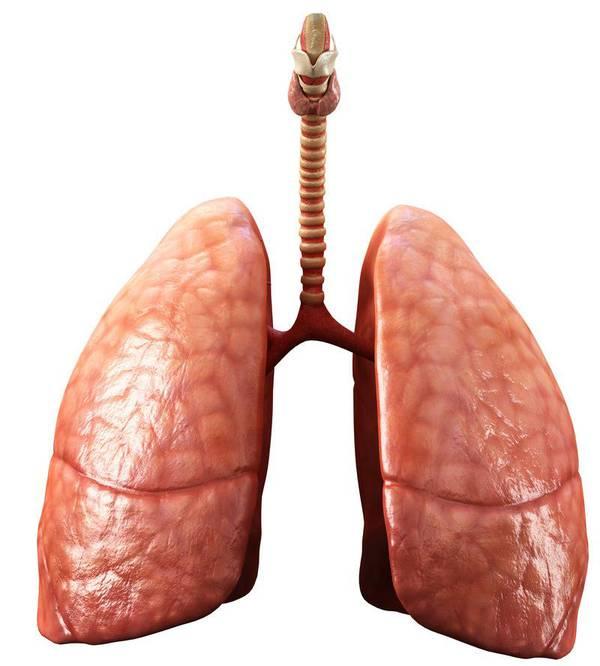 长久吸烟后肺会变黑吗，戒烟后如何将肺部清洁干净