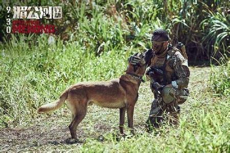 现实中的啸天神犬战斗力最强的狗:中国神话传说中战斗力最强的狗是哪只？