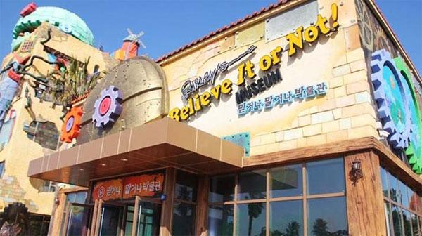 你旅行中去过哪些奇妙的博物馆？