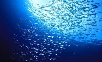 什么颜色最招鬼,什么样的颜色最恐怖，为什么？