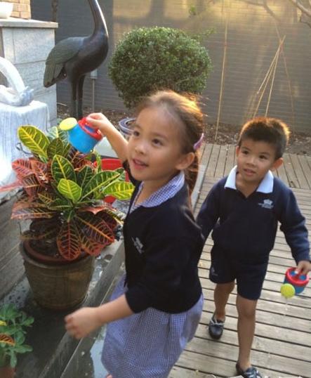 张雨绮胸:张雨绮也闪婚了！那些闪婚的明星后来都怎样了