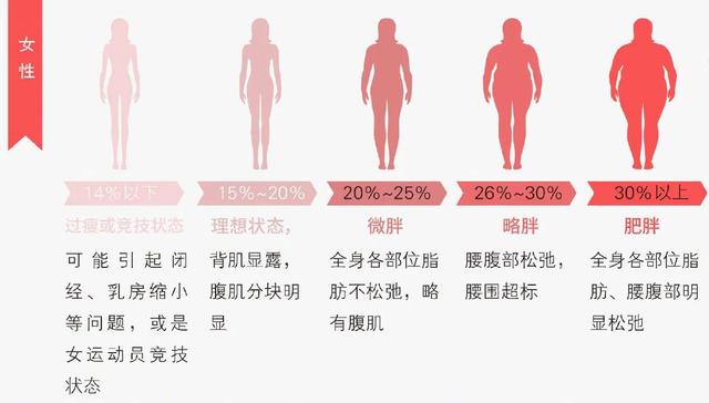 头条问答 - 身上体脂达到多少最好看?为什么?(17个回答)