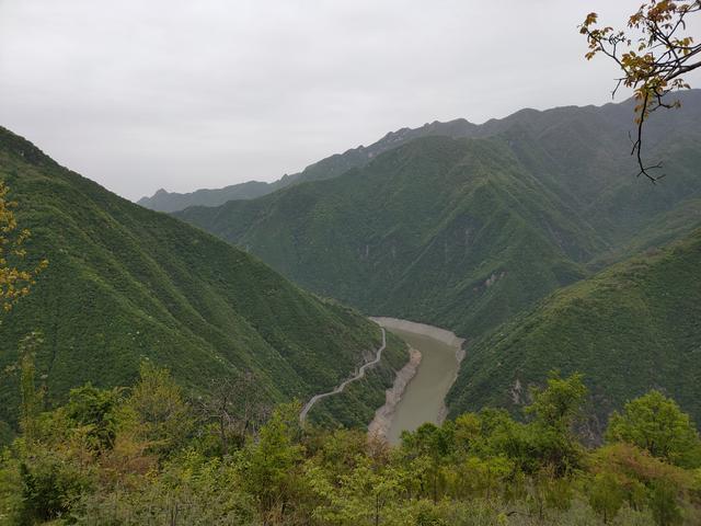 新藤惠美:地里长了许多葛根藤，怎么清除？