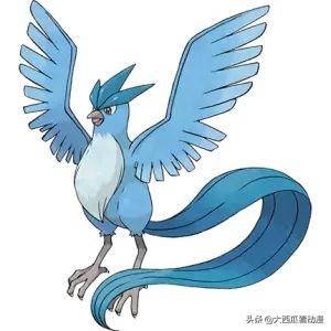 宝可梦雷电球灵异事件:精灵宝可梦里面有哪些神兽？