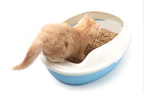 松木猫砂 15kg:猫砂会不会在家里扬起粉尘？
