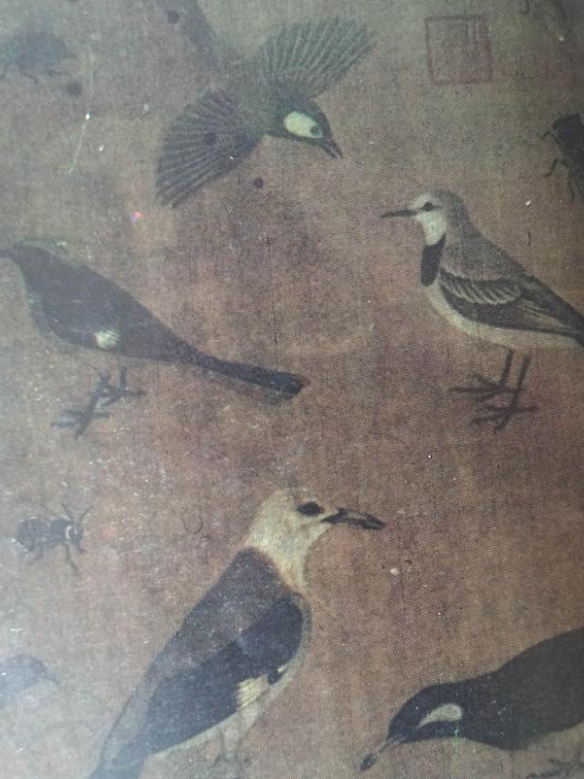 伦敦自然历史博物馆渡渡鸟，大英博物馆都珍藏了哪些中国瑰宝