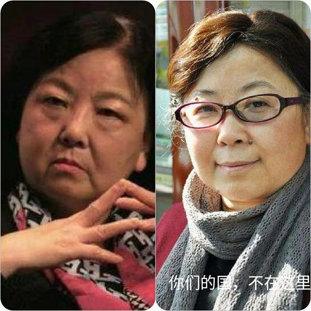 武汉母狗寻主:张伯礼院士要向作家方方道歉吗？