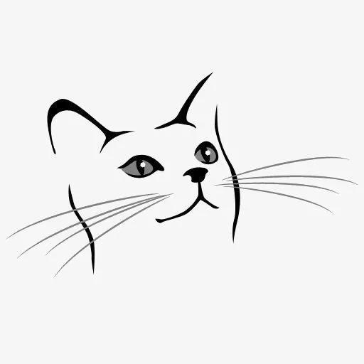 减肥猫技能表:你们家猫一个月能吃几斤猫粮？有何分享？