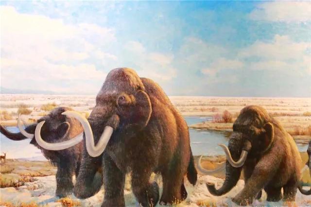 迪奥拉拜尔德:据说罗斯柴尔德家族可以控制整个世界是真的吗