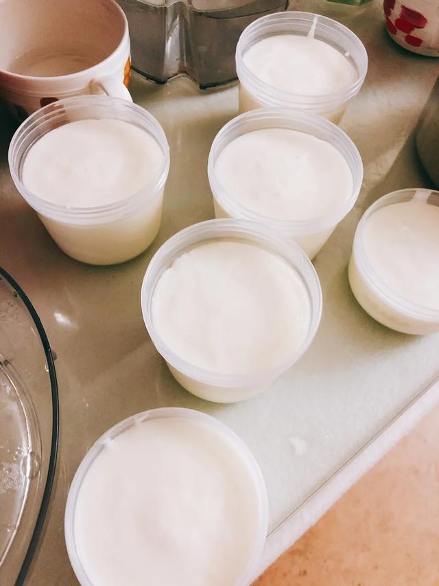 用酸奶做引子做酸奶，我想做个酸奶，有知道怎么做的吗？