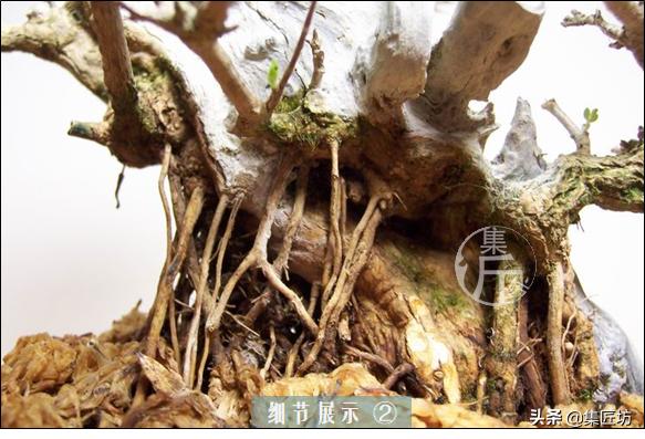 培新机械:工业机器人专业有哪些就业方向？