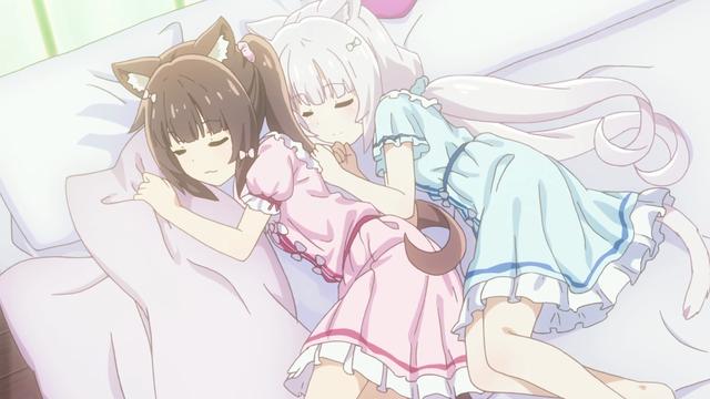 前略我与猫和天使同居动漫:一月新番《猫娘乐园》有趣吗？作品风格是怎样的？