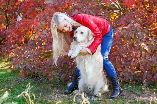 任丘狗咬人事件:如何评价恶犬咬人致重伤，主人一句“对不起”都没说？