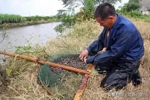目前农村做什么是无本生意？