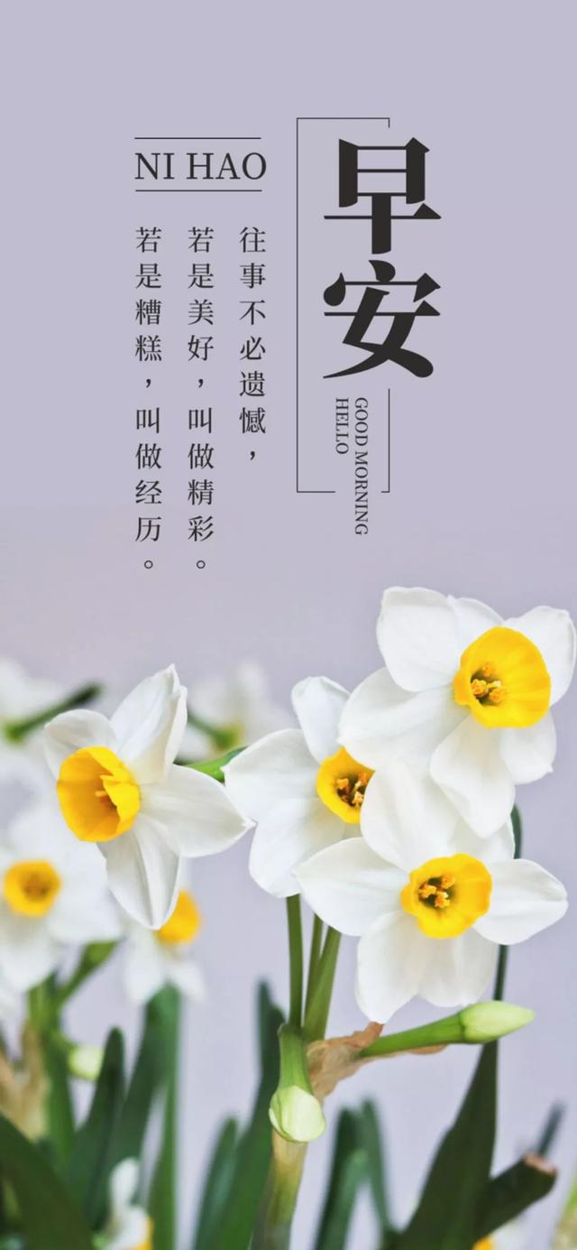 新周早安心语励志：认真生活，才能找到被人生偷藏起来的糖果
