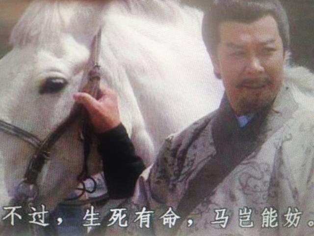 《三国演义》刘备马跃檀溪的“的卢马”，历史上真的有此马吗？