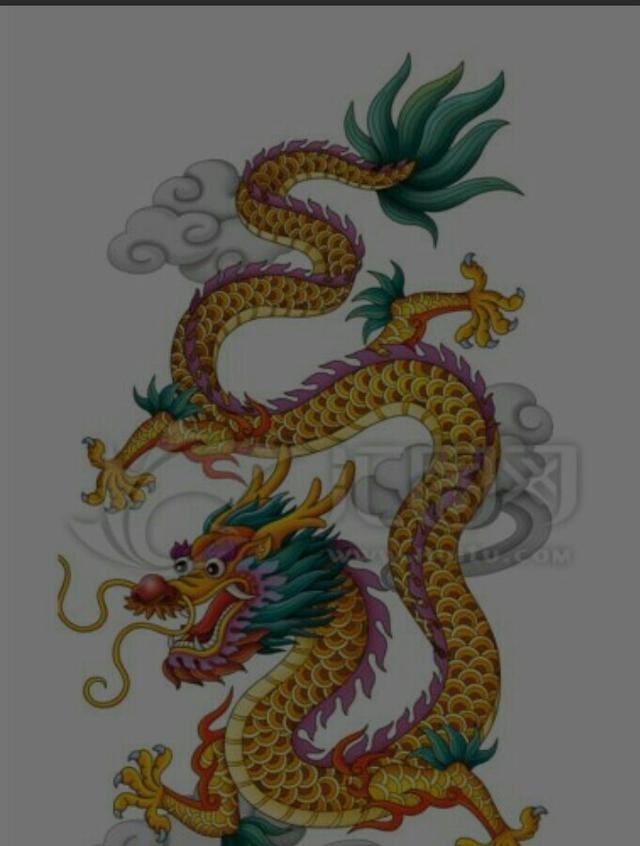 丽纹龙蜥蜴怎么训:水巨蜥适不适合新手饲养？新手养了怎样才不会死掉？