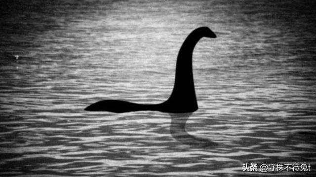 大家对于神农架野人,喜马拉雅雪人,奥古普古水怪以及我国的喀纳斯水怪