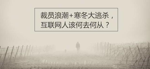 越来越看不起互联网巨头，怎么感觉互联网行业越来越难找工作了这是什么原因