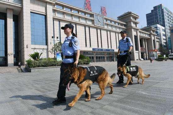 警犬图片:为什么叫警犬而不叫警狗，你怎么看？