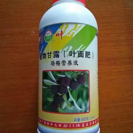 阿维菌素的作用:可以给柑橘幼果用阿维菌素吗？