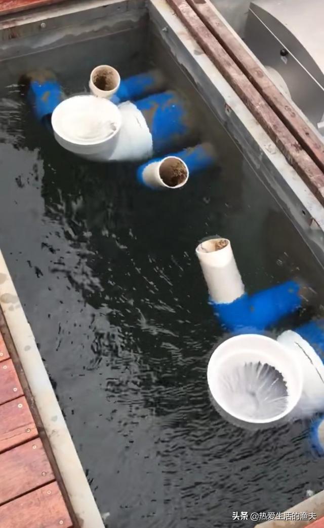 地图鱼怎么养水:地图鱼今天早起换了三分之一的水，就集体趴缸了，怎么治？