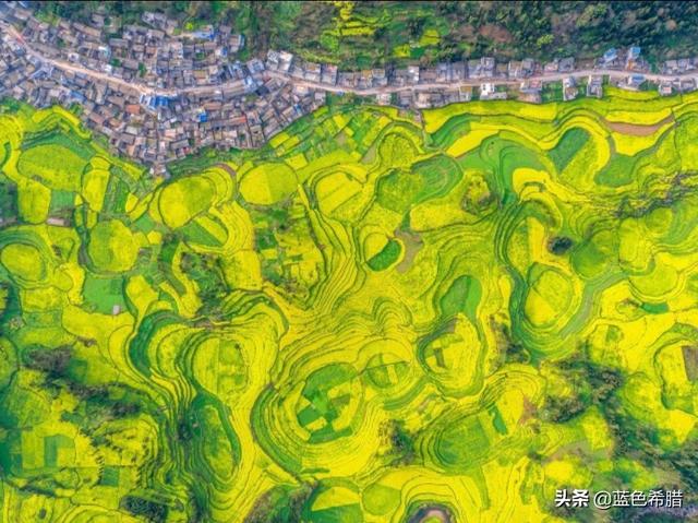 将诗词还原成摄影作品,“一片一片油菜花,一幅一幅风景画”怎么拍？