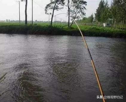 鱼饵料:在河里钓鱼用什么鱼饵比较好？