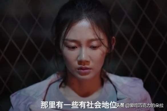 栾树彬:栾树什么时候开花？为什么？