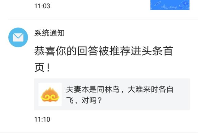 鸟 鸟 鸟:小麦眼看就要快收了，鸟和人争夺口粮，鸟类还需要保护吗？
