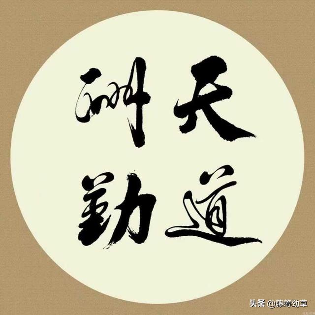 郑恺家庭背景太恐怖:家境一般，没啥背景，适合考公务员吗如何备考