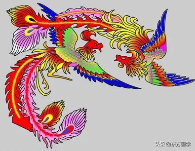 孔子鸟价值多少钱:我感觉始祖鸟的产品并不好看，它为什么卖那么贵？