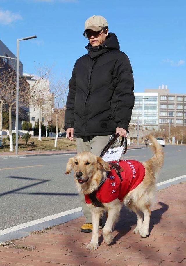 导盲犬珍妮的视频:为什么很多场所仍然有人不允许导盲犬进入呢？这是人性还是人心？