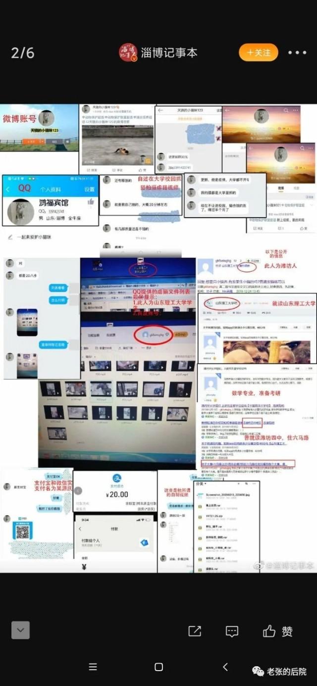 如何看待山东某大学学生虐猫并贩卖视频一事,请大家心平气和的科普一下？