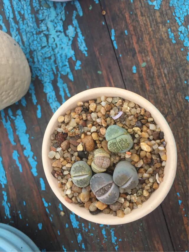 孩子脾气暴躁风水化解,面对脾气暴躁的宝宝，妈妈要如何应对？