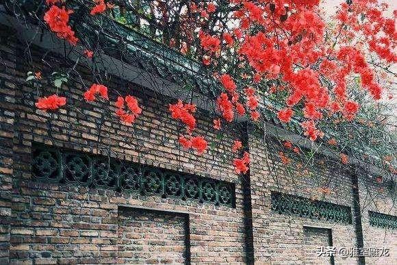真德秀:《游园不值》表达了诗人怎样的情感？