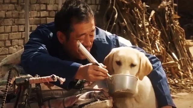 关于动物的电影18部:有没有好看的宠物类电影？
