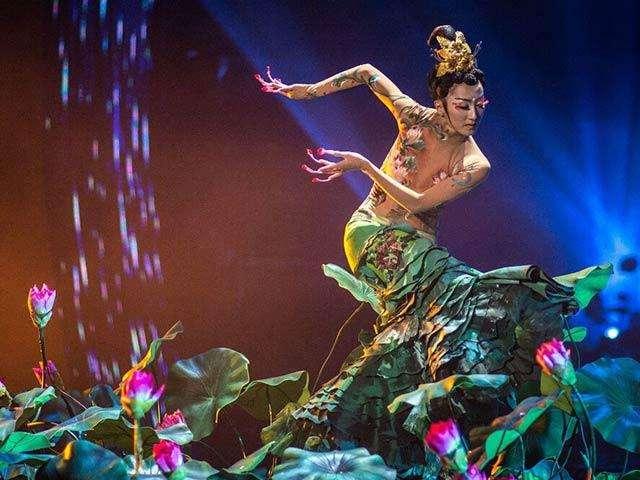 杨丽萍多大了:金星和杨丽萍有什么可比性吗